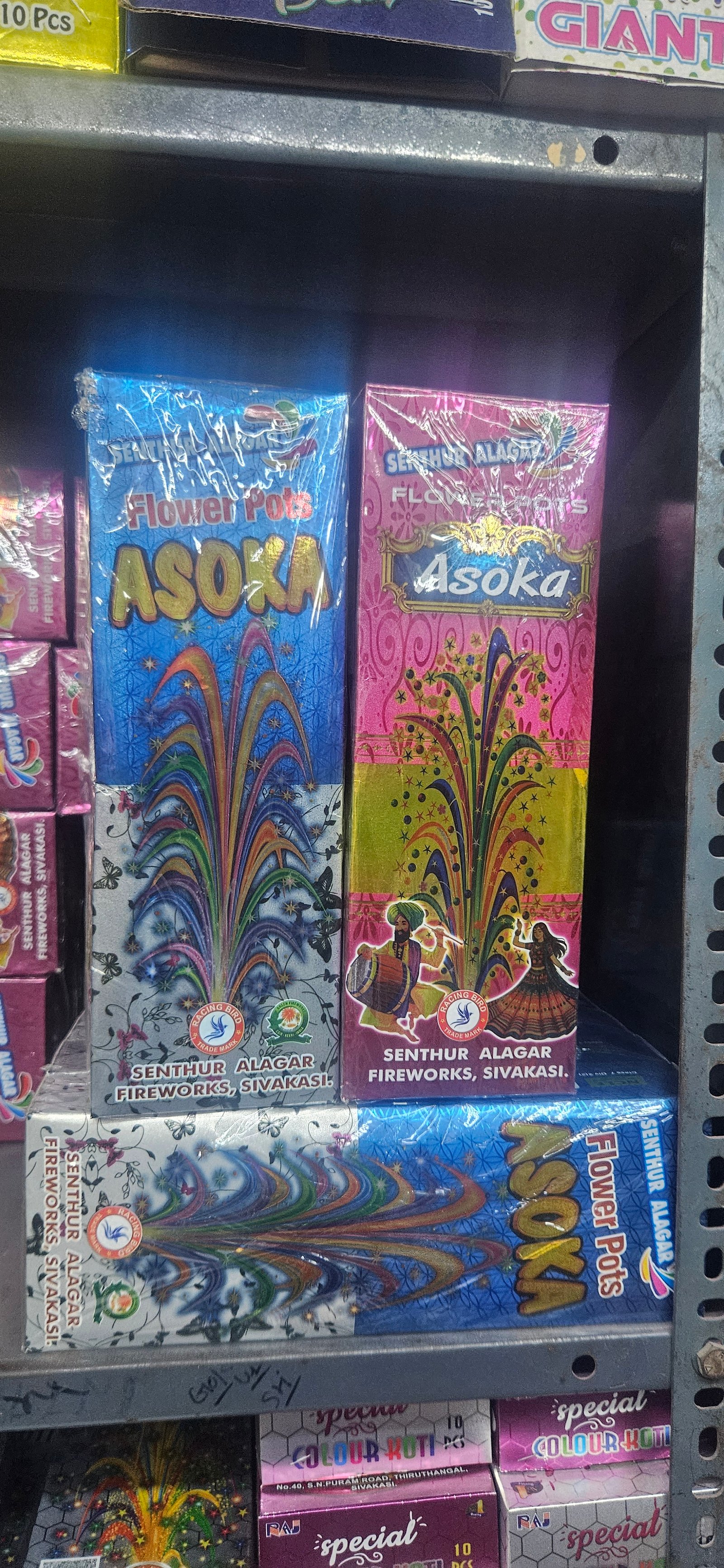 Ashoka Color Koti (Raj)