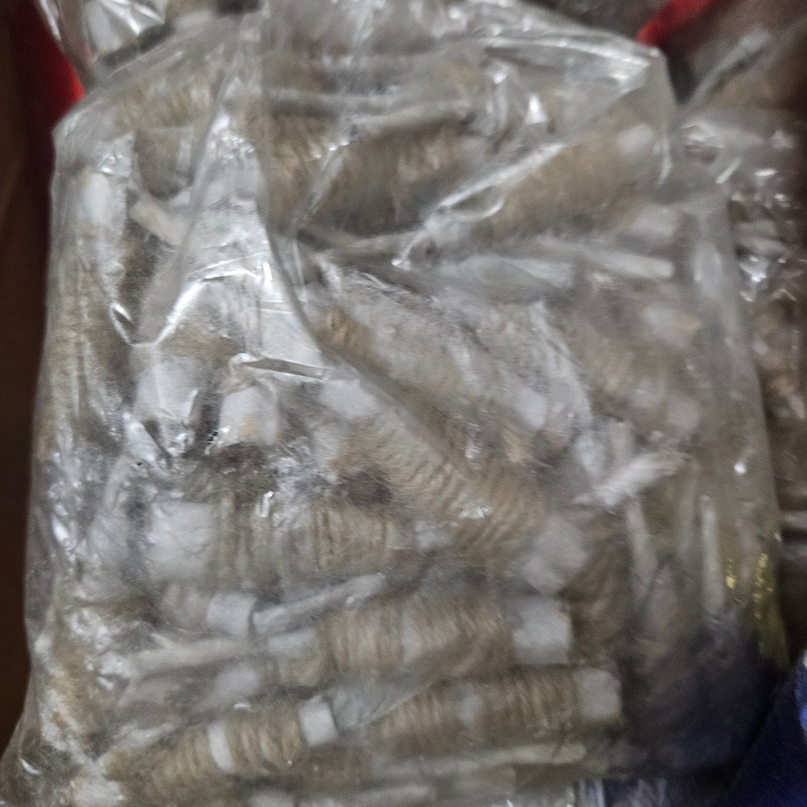 AC - Sanal Vedi  10Pcs